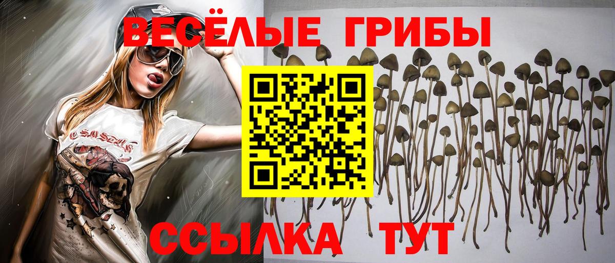 Галлюциногенные грибы GOLDEN TEACHER  Галлюциногенные грибы мицелий  Чебоксары  Вход с VPN 