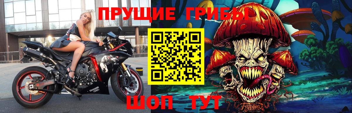 Галлюциногенные грибы GOLDEN TEACHER Чебоксары